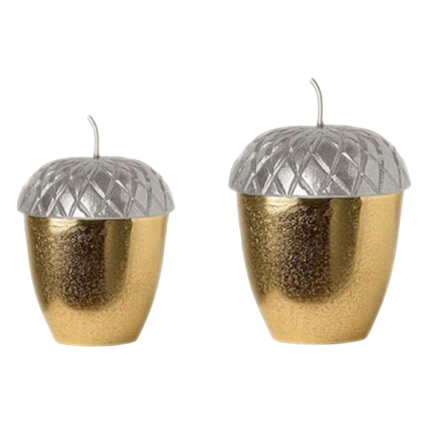 Decorative Acorns Jar Set of 2