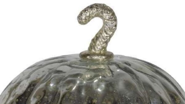 Metallic Silver Pumpkin - Image 10