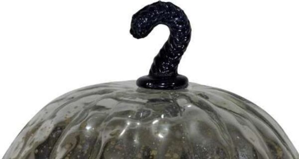 Metallic Silver Pumpkin - Image 8