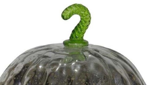 Metallic Silver Pumpkin - Image 6