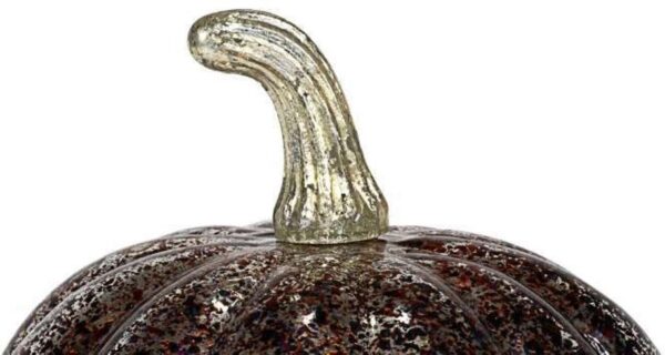 Metallic Silver Pumpkin - Image 4