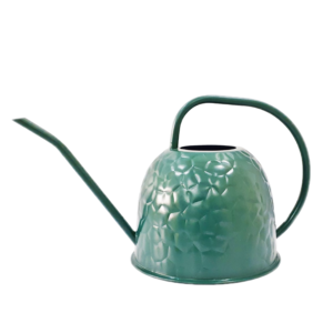 Water Cane Faina Olive Green